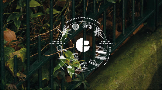 Natural Intelligence