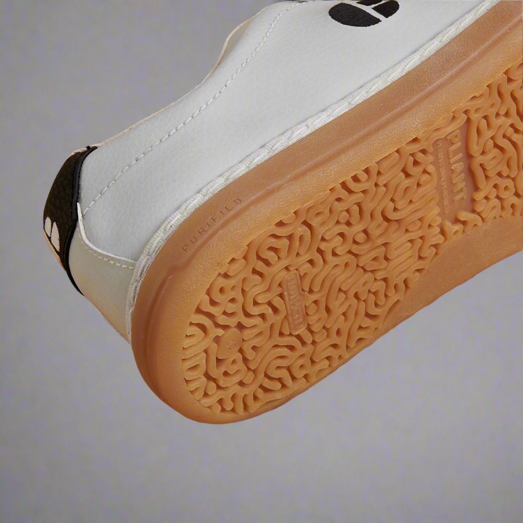 Hevea - White / Gum